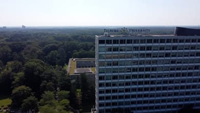 Tilburg University: What it's really like