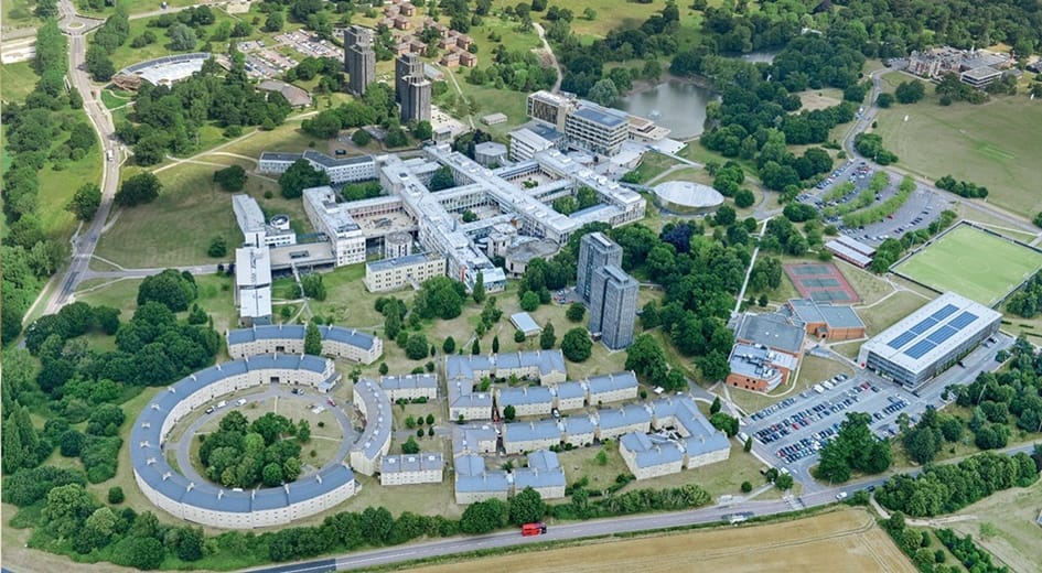 University of Essex: What it's really like