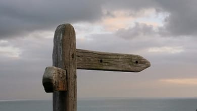 Good career guidance: a How-To guide from abroad