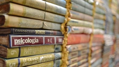 Psychology: 8 surprising course combinations your students did not consider