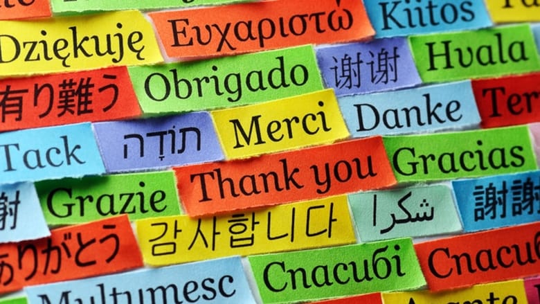 What can you do with a degree in Modern Foreign Languages?