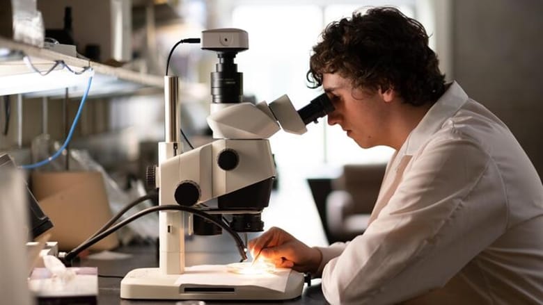 What can you do with a degree in Sciences?