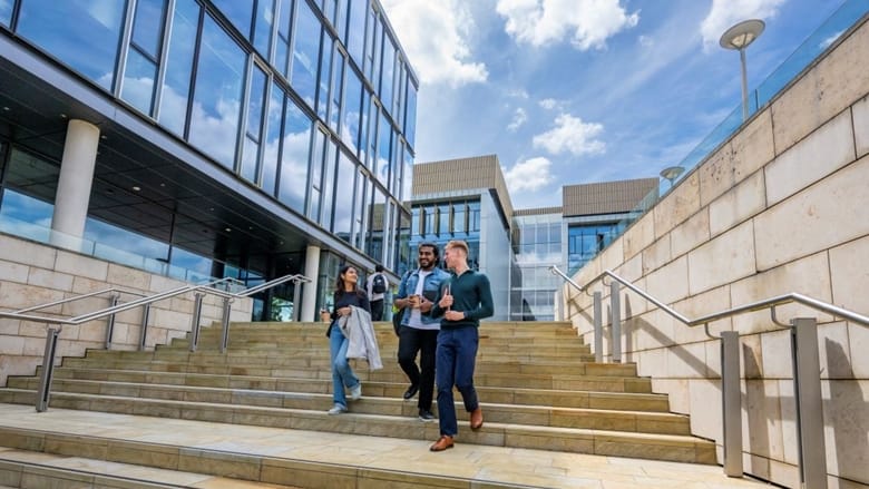 What can you actually do with a business degree?