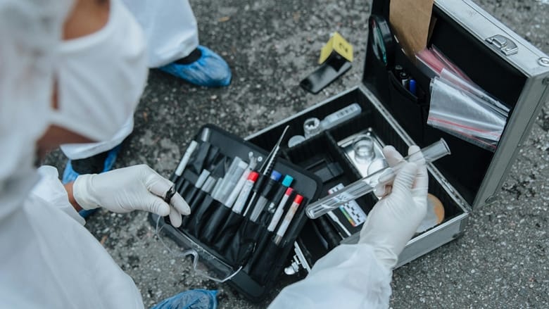 Turn your curiosity into a career in forensics