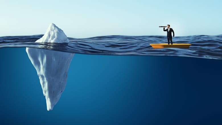 Business taster: strategic leadership and risk