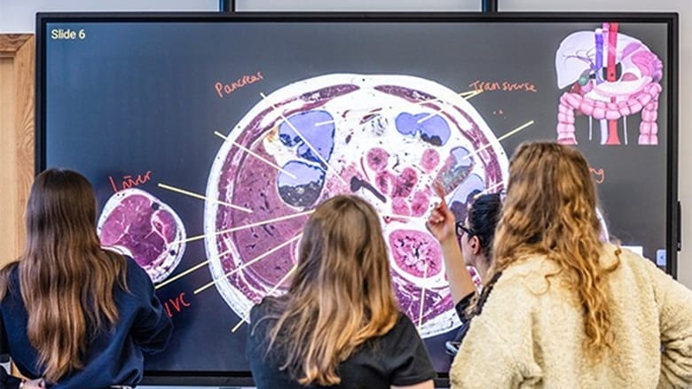 Medicine taster: how doctors use digital imaging to see inside bodies