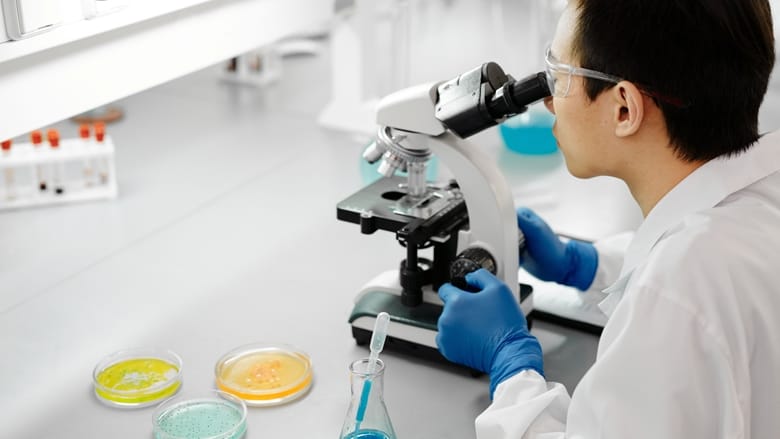 Biology taster: a short safari through the human microbiological zoo