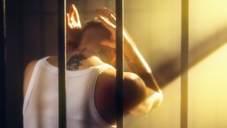 Criminology taster: is prison an effective form of punishment?