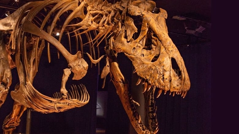 How scientists reconstruct the lives of dinosaurs