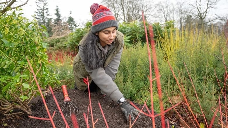 Overview: The Uni & Employer library